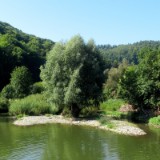 2409F 081 Kocher Radweg